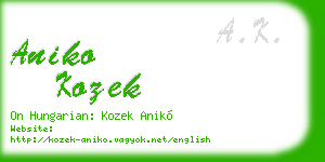 aniko kozek business card
